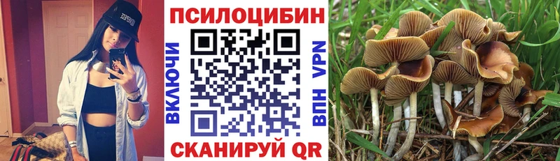 продажа наркотиков  mega вход  Псилоцибиновые грибы прущие грибы  Сим 